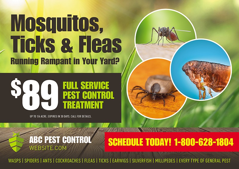 Pest control postcard sample with coupon offer