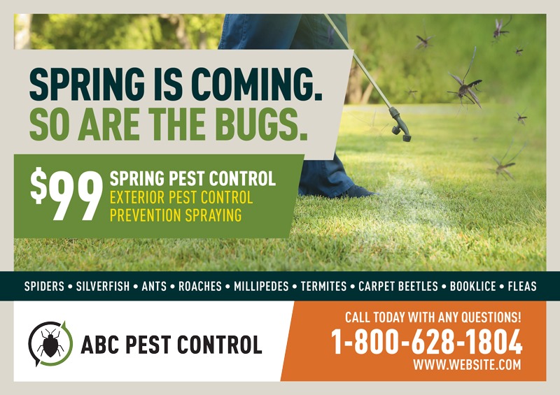 Spring pest control marketing postcard sample
