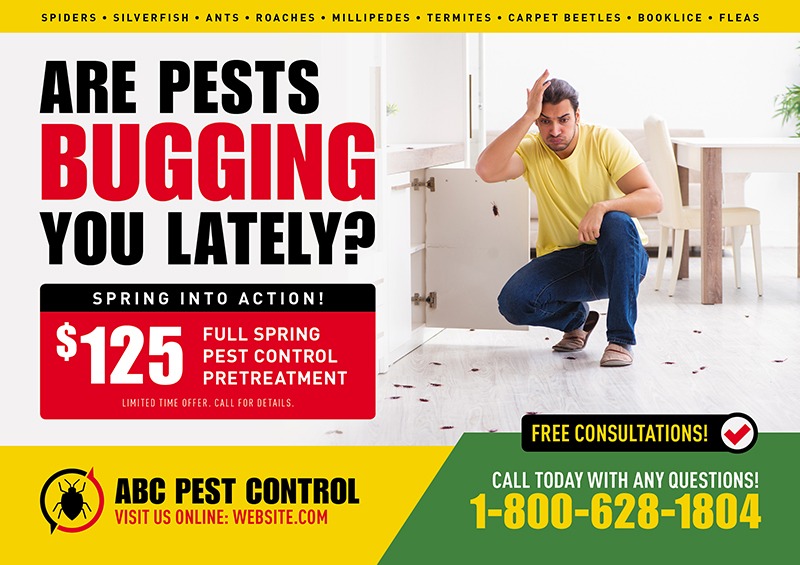 Spring pest extermination mailer sample